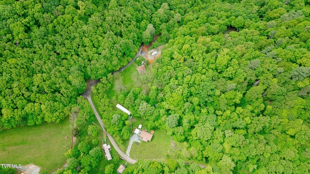 394 Bishop Hollow Rd, Elizabethton, TN 37643 - photo 51