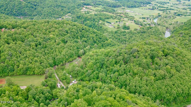394 Bishop Hollow Rd, Elizabethton, TN 37643 - photo 52