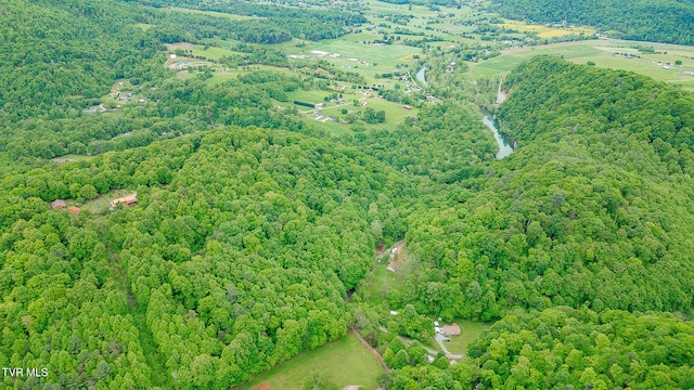 394 Bishop Hollow Rd, Elizabethton, TN 37643 - photo 53