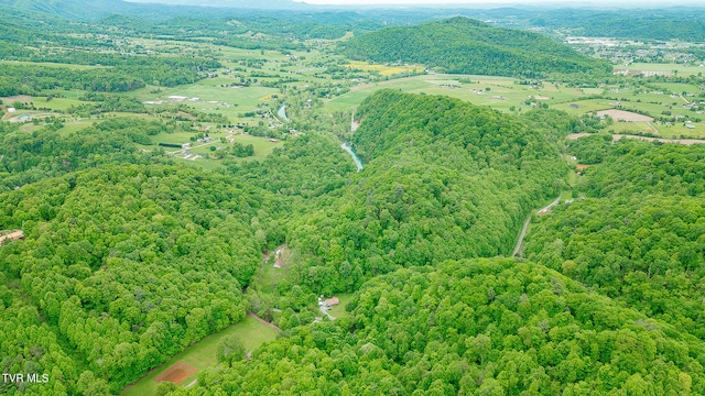 394 Bishop Hollow Rd, Elizabethton, TN 37643 - photo 54