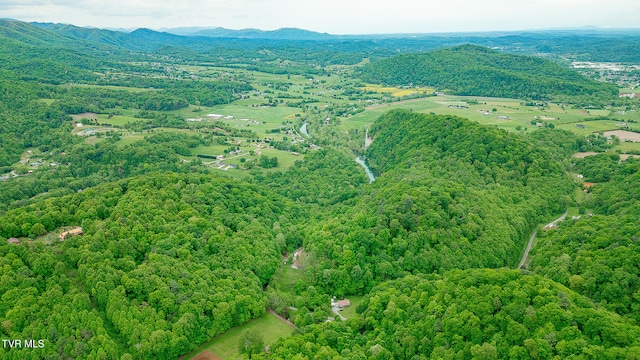 394 Bishop Hollow Rd, Elizabethton, TN 37643 - photo 55