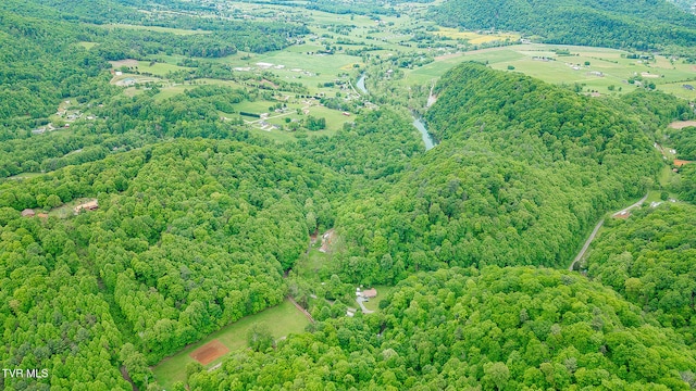 394 Bishop Hollow Rd, Elizabethton, TN 37643 - photo 56