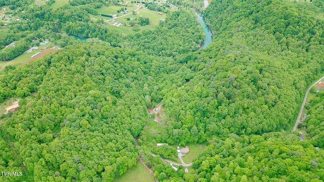 394 Bishop Hollow Rd, Elizabethton, TN 37643 - photo 57