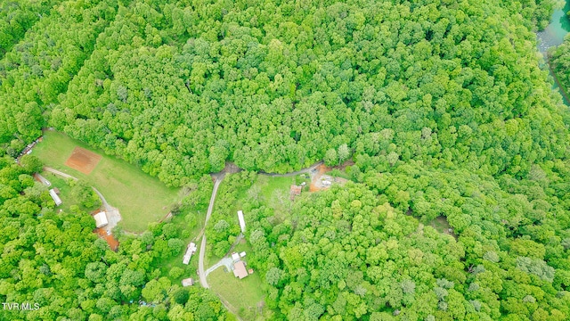 394 Bishop Hollow Rd, Elizabethton, TN 37643 - photo 58