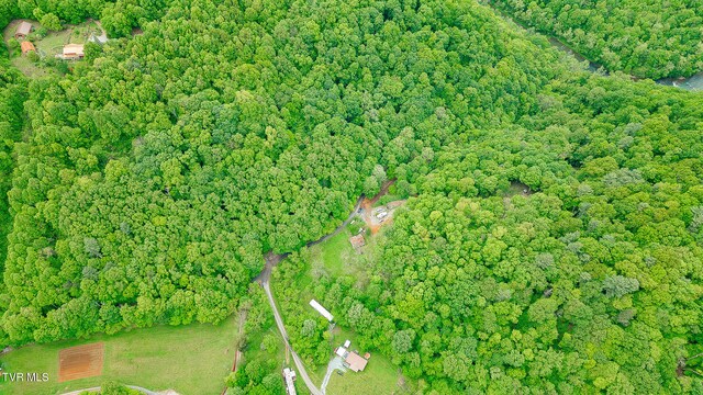 394 Bishop Hollow Rd, Elizabethton, TN 37643 - photo 59