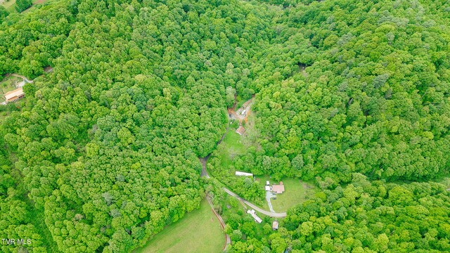 394 Bishop Hollow Rd, Elizabethton, TN 37643 - photo 60