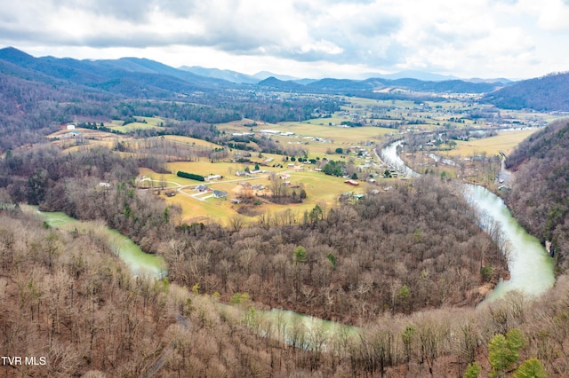 394 Bishop Hollow Rd, Elizabethton, TN 37643 - photo 71