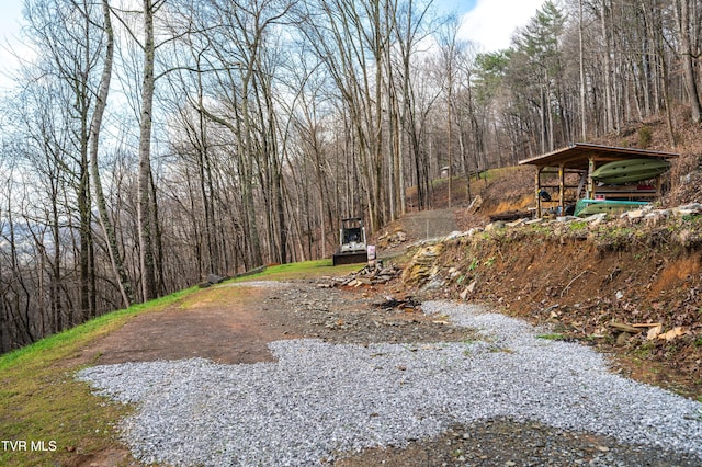 394 Bishop Hollow Rd, Elizabethton, TN 37643 - photo 76