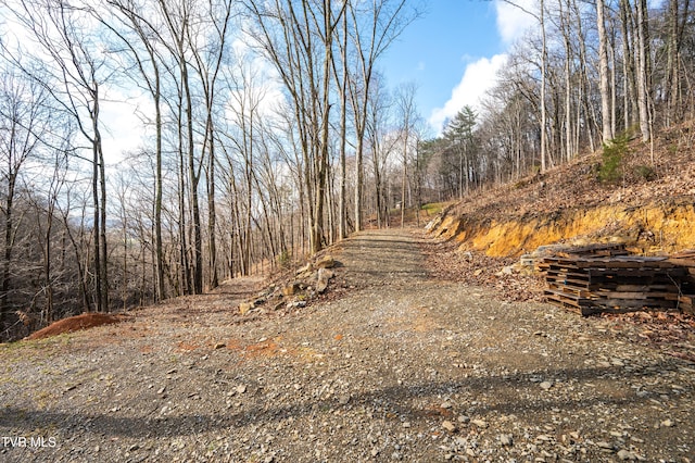 394 Bishop Hollow Rd, Elizabethton, TN 37643 - photo 80