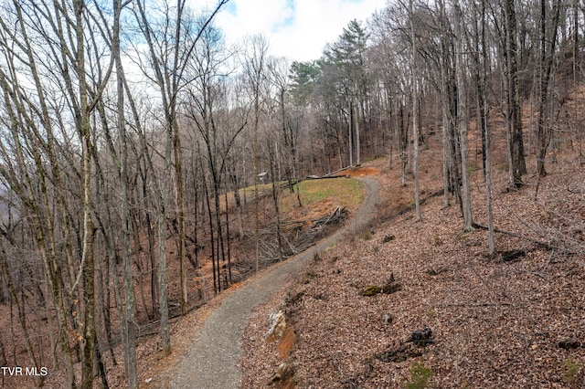 394 Bishop Hollow Rd, Elizabethton, TN 37643 - photo 81