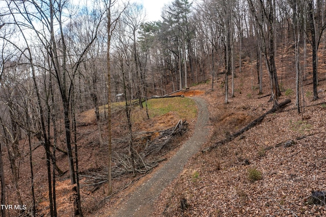 394 Bishop Hollow Rd, Elizabethton, TN 37643 - photo 82