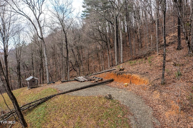 394 Bishop Hollow Rd, Elizabethton, TN 37643 - photo 83