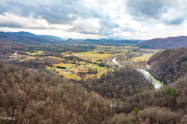 394 Bishop Hollow Rd, Elizabethton, TN 37643 - photo 87