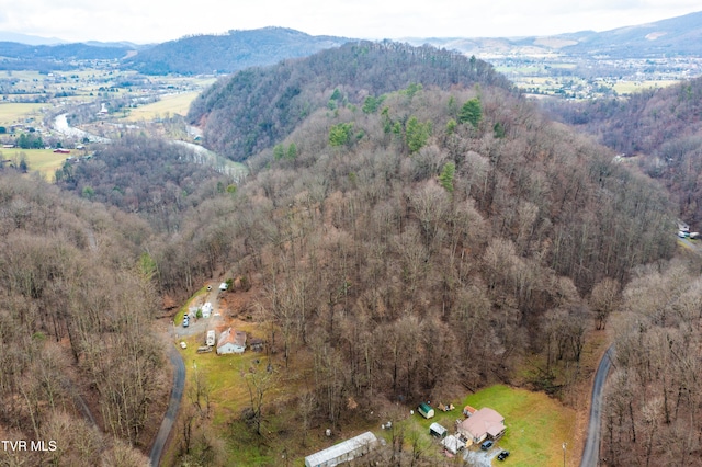 394 Bishop Hollow Rd, Elizabethton, TN 37643 - photo 90