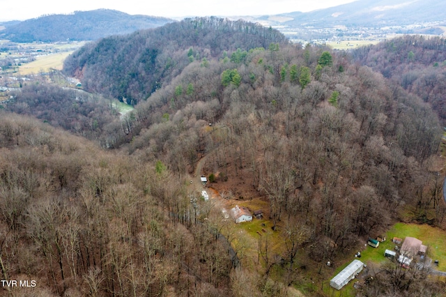 394 Bishop Hollow Rd, Elizabethton, TN 37643 - photo 92