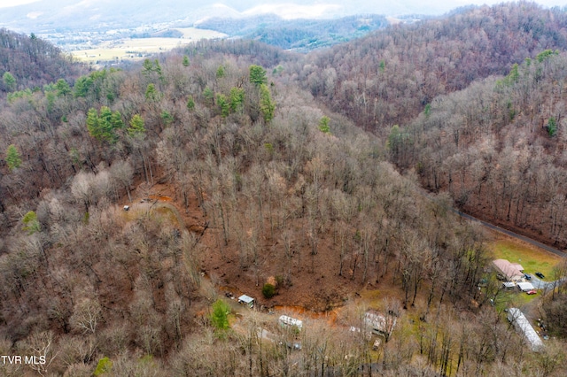 394 Bishop Hollow Rd, Elizabethton, TN 37643 - photo 93