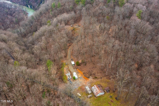 394 Bishop Hollow Rd, Elizabethton, TN 37643 - photo 94