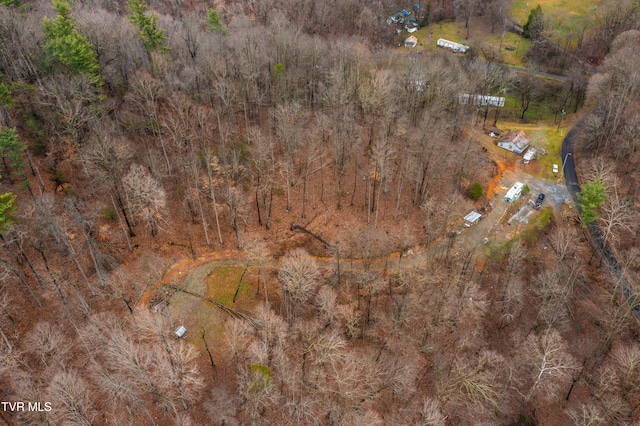 394 Bishop Hollow Rd, Elizabethton, TN 37643 - photo 95