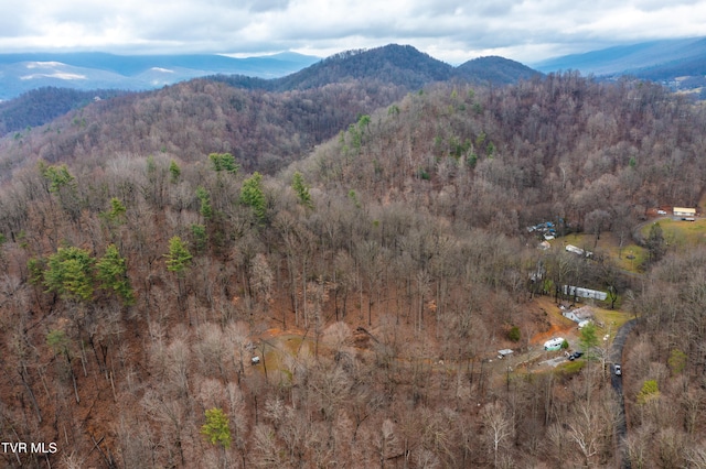 394 Bishop Hollow Rd, Elizabethton, TN 37643 - photo 97