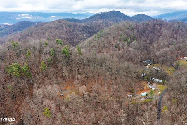394 Bishop Hollow Rd, Elizabethton, TN 37643 - photo 98