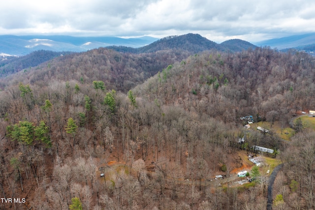 394 Bishop Hollow Rd, Elizabethton, TN 37643 - photo 99