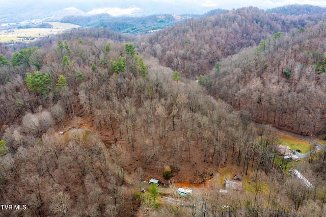 394 Bishop Hollow Rd, Elizabethton, TN 37643 - photo 100