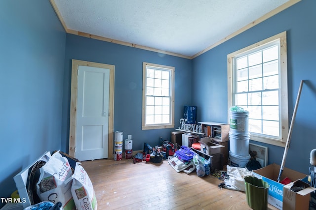 1496 Old State Route 34, Telford, TN 37690 - interior space featuring hardwood / wood-style flooring and a textured ceiling
