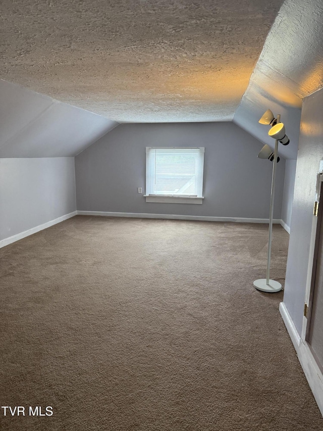 379 SW Oakland St, Abingdon, VA 24210 - bonus room featuring lofted ceiling, carpet floors, baseboards, and a textured ceiling