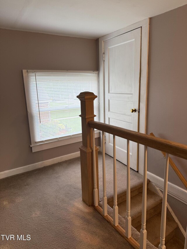 379 SW Oakland St, Abingdon, VA 24210 - stairway featuring carpet floors and baseboards