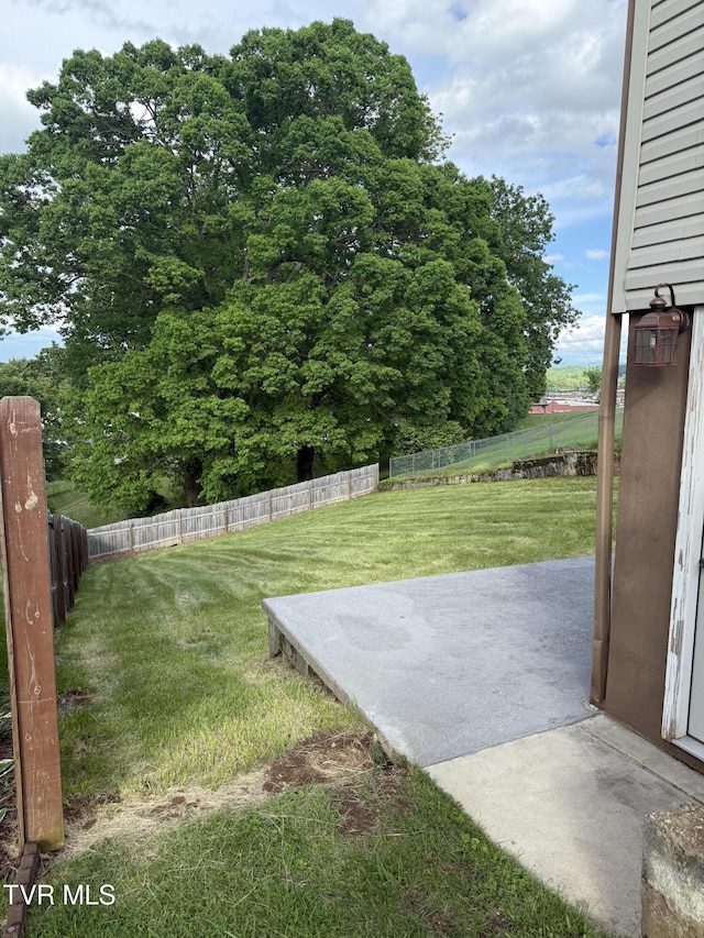 379 SW Oakland St, Abingdon, VA 24210 - view of yard with a patio