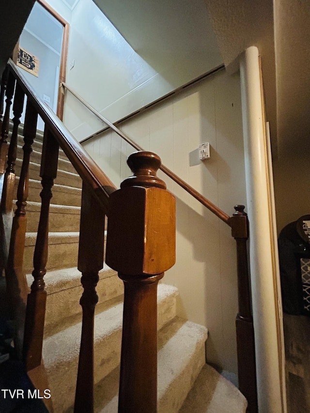 312 Colonial Cir, Greeneville, TN 37745 - photo 44