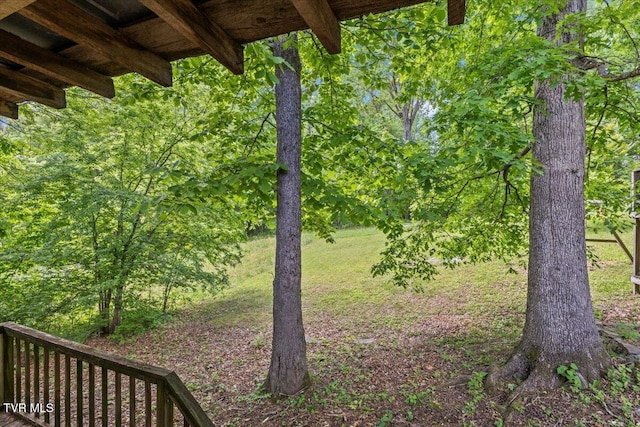 2318 Westwood St, Johnson City, TN 37604 - view of green lawn