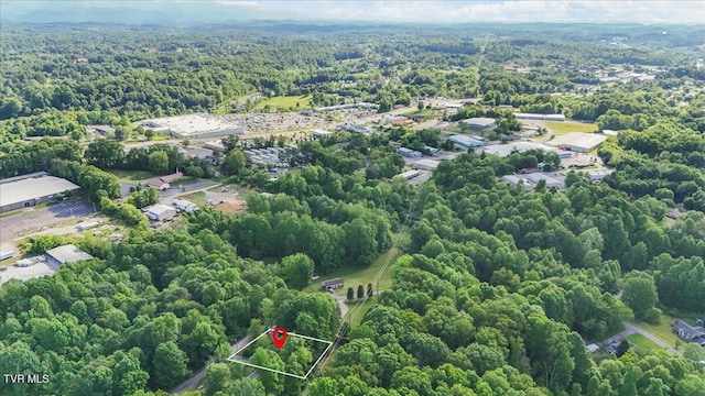 2318 Westwood St, Johnson City, TN 37604 - aerial view of property's location with a heavily wooded area and property parcel outlined
