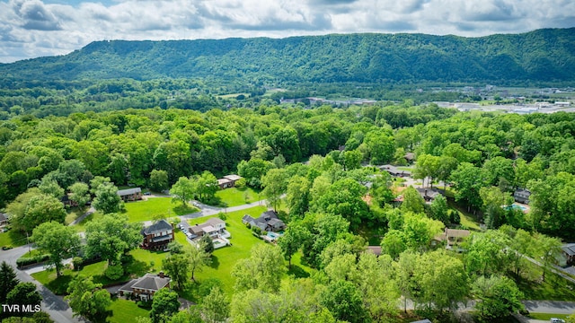 212 Old Castle Rd, Kingsport, TN 37660 - aerial view of a forest and mountains