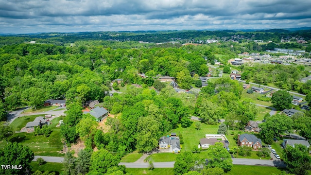212 Old Castle Rd, Kingsport, TN 37660 - aerial view of residential area featuring a heavily wooded area