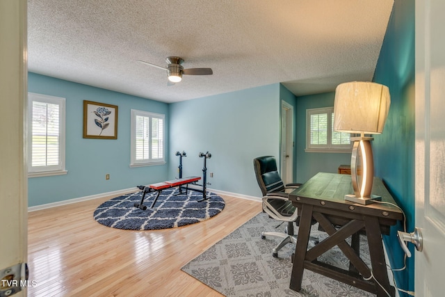 212 Old Castle Rd, Kingsport, TN 37660 - home office featuring healthy amount of natural light, ceiling fan, wood finished floors, baseboards, and a textured ceiling