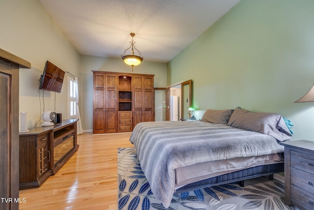 212 Old Castle Rd, Kingsport, TN 37660 - bedroom with light wood-style flooring