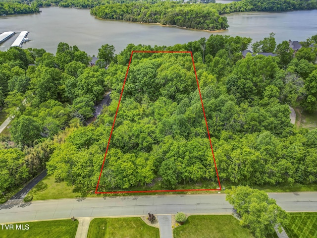 612 Harbor Point Dr, Johnson City, TN 37615 - photo 2