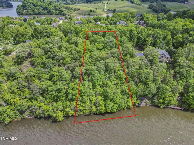 612 Harbor Point Dr, Johnson City, TN 37615 - photo 1