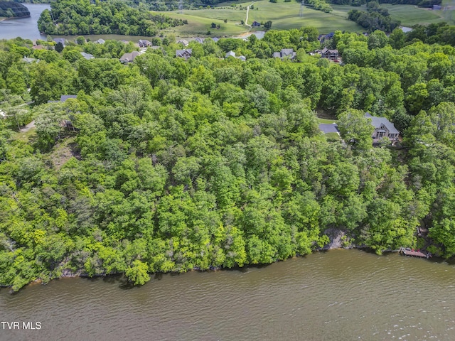 612 Harbor Point Dr, Johnson City, TN 37615 - photo 4