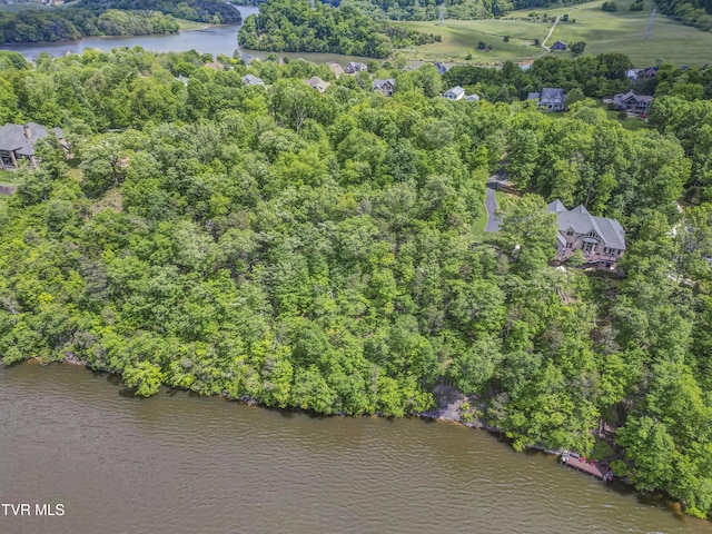 612 Harbor Point Dr, Johnson City, TN 37615 - photo 5