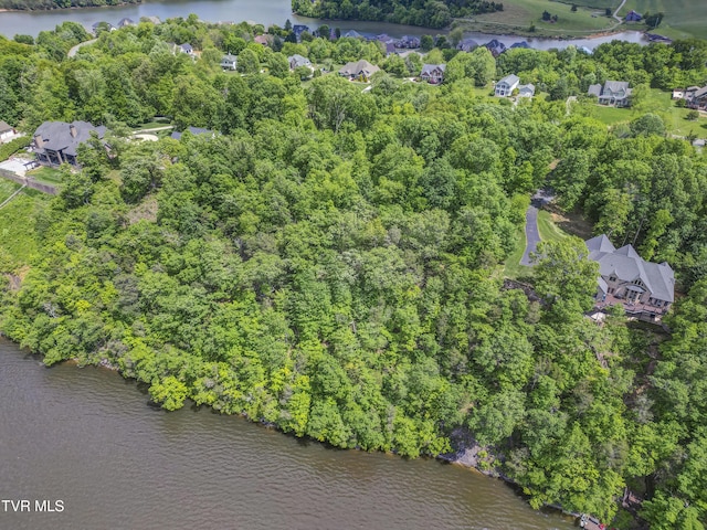 612 Harbor Point Dr, Johnson City, TN 37615 - photo 6