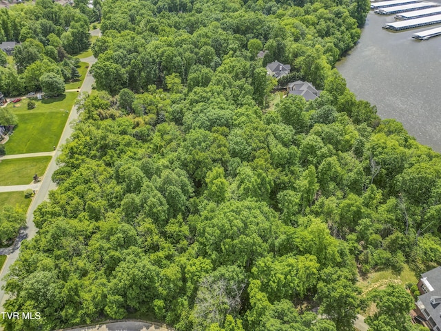 612 Harbor Point Dr, Johnson City, TN 37615 - photo 8