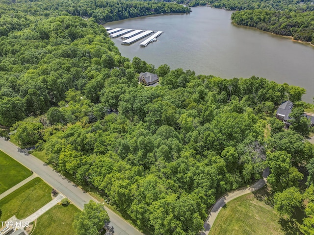 612 Harbor Point Dr, Johnson City, TN 37615 - photo 9