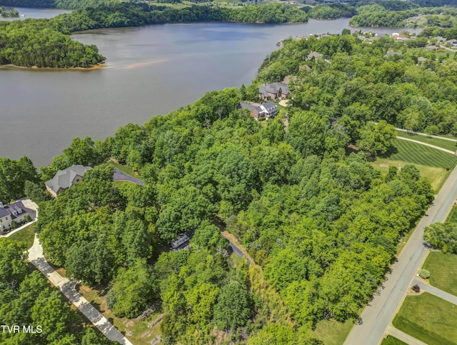 612 Harbor Point Dr, Johnson City, TN 37615 - photo 11