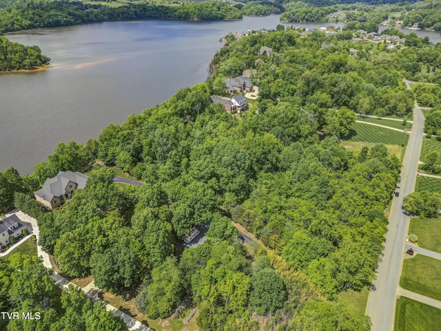 612 Harbor Point Dr, Johnson City, TN 37615 - photo 12