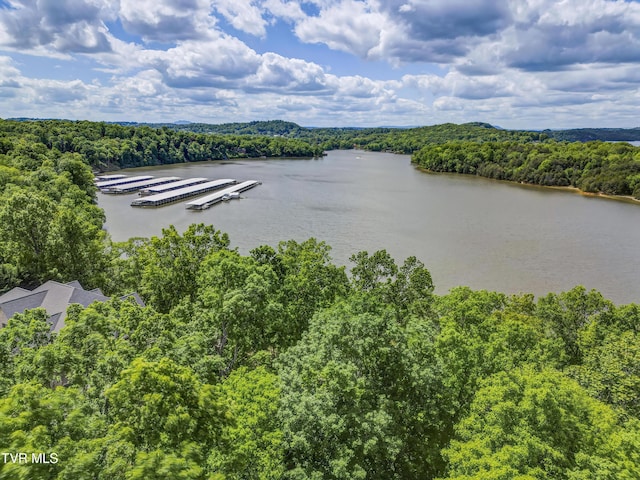 612 Harbor Point Dr, Johnson City, TN 37615 - photo 13