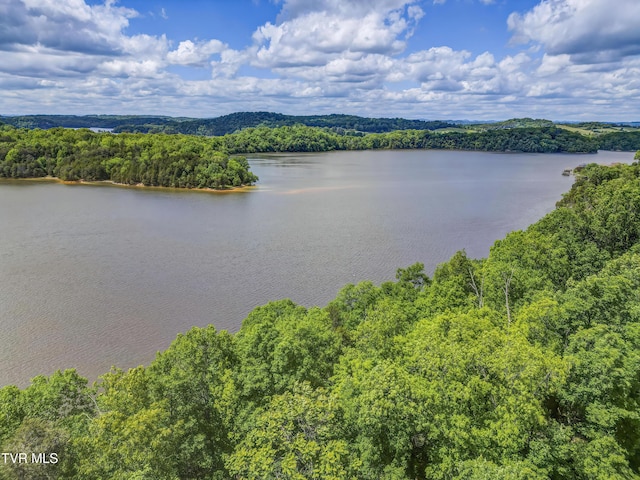 612 Harbor Point Dr, Johnson City, TN 37615 - photo 14