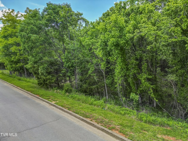 612 Harbor Point Dr, Johnson City, TN 37615 - photo 15