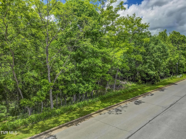 612 Harbor Point Dr, Johnson City, TN 37615 - photo 16
